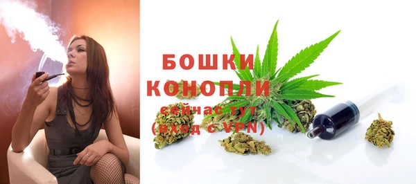 прущая мука Верея