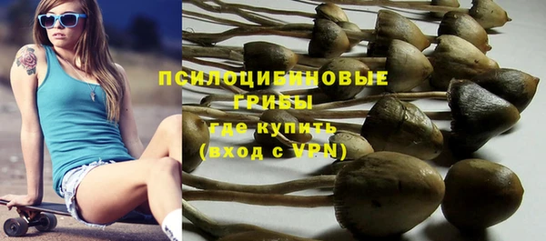 прущая мука Верея