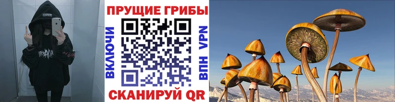 Псилоцибиновые грибы GOLDEN TEACHER  Чёрмоз 